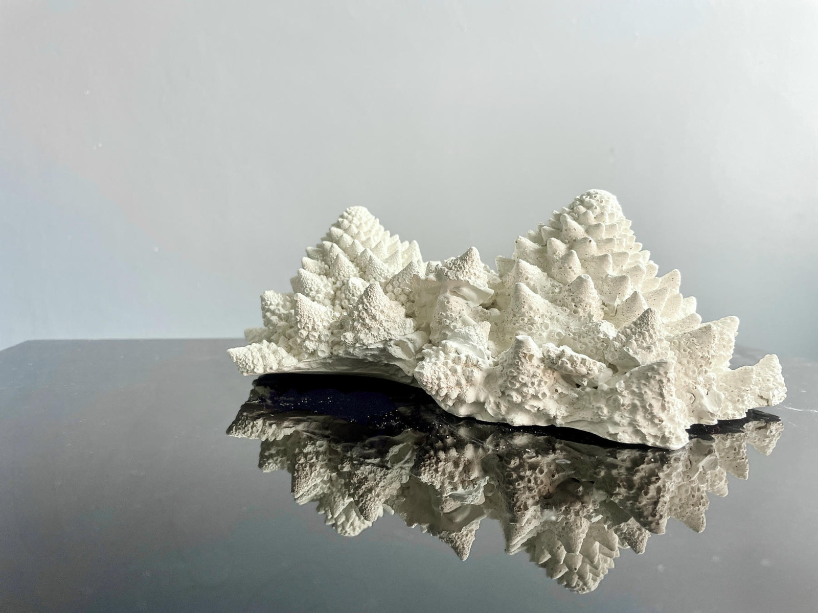 Jasmine Pradissitto, Monticulus, a white mountain-like ceramic sculpture reflected on a dark surface